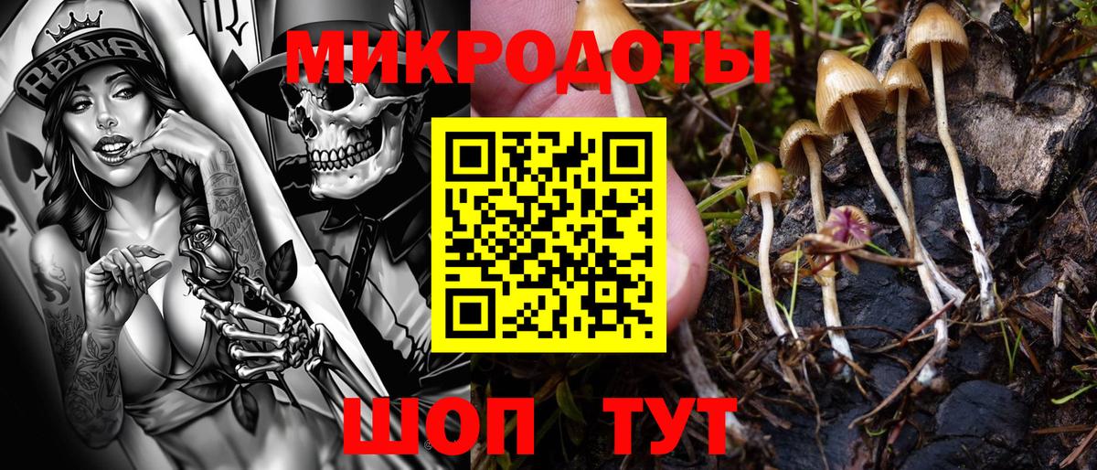 Галлюциногенные грибы мицелий  Вход с VPN  Мирный 