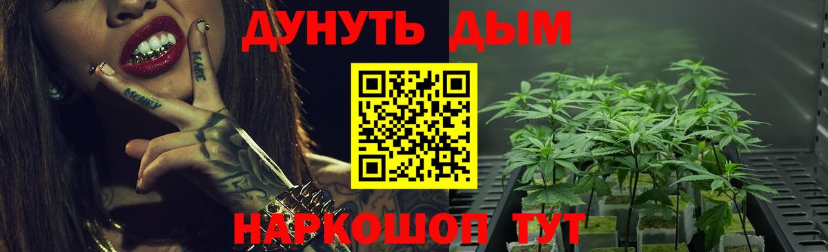 Шишки марихуана план Мирный